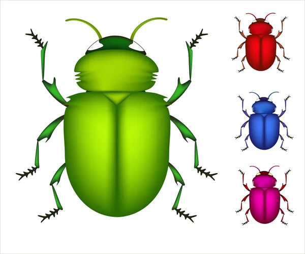 Conjunto de escarabajos de colores — Vector de stock