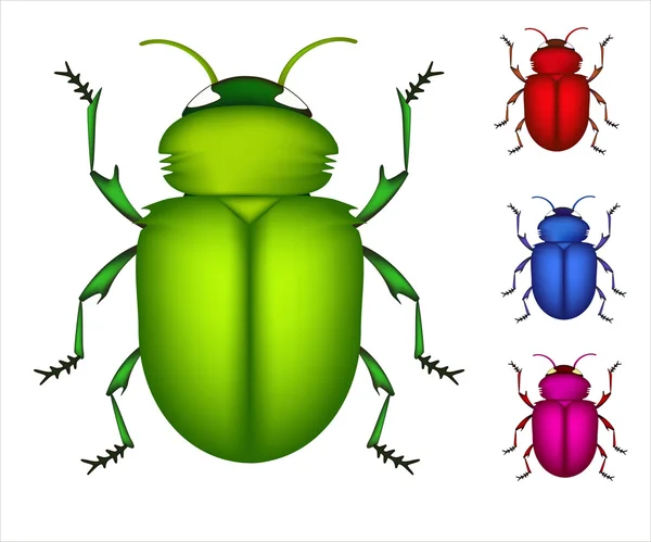 Sada barevných brouků — Stockový vektor