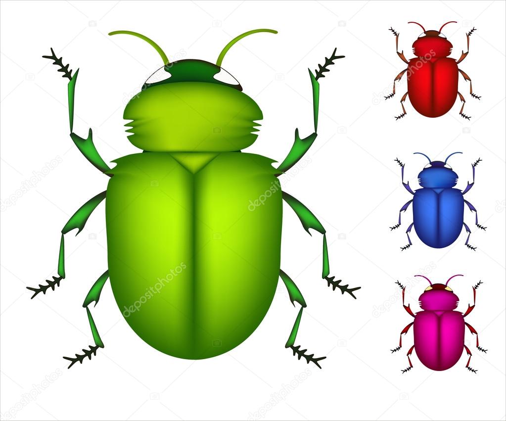 Set of colored beetles