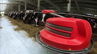 Robot çiftçiler hayvan beslemek için çiftlikte çalışmaya programlandılar..