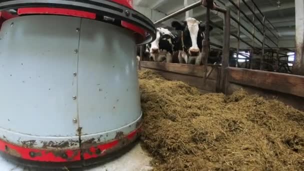 Os agricultores robôs estão programados para trabalhar nas instalações da fazenda para alimentação animal . — Vídeo de Stock