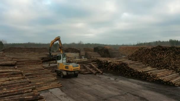 A logging machine transports logs to a stack. Loader of logs at the sawmill of coniferous trees. — стоковое видео