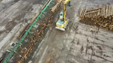 A logging machine transports logs to a stack. Loader of logs at the sawmill of coniferous trees.
