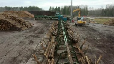 A logging machine transports logs to a stack. Loader of logs at the sawmill of coniferous trees.