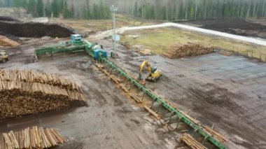 A logging machine transports logs to a stack. Loader of logs at the sawmill of coniferous trees.