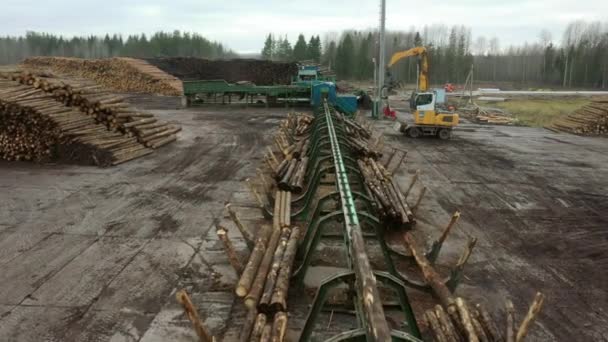 En tømmermaskin transporterer logger til en stabel. Lasting av tømmer ved sagbruket på bartrær. – stockvideo