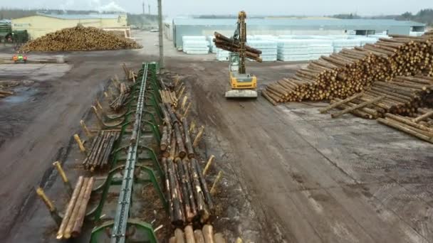 Sebuah mesin logging mengangkut log ke tumpukan. Loader of logs at the sawmill of coniferous trees. — Stok Video
