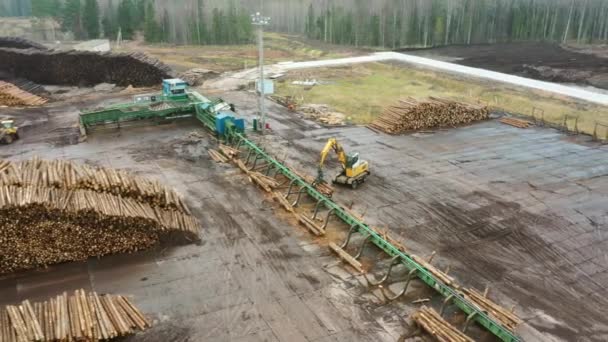 A logging machine transports logs to a stack. Loader of logs at the sawmill of coniferous trees. — Vídeos de Stock