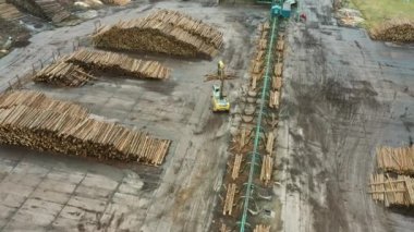 Freshly cut trees are stored outdoors in stacks. Wood warehouse . Forestry, woodworking, logging.