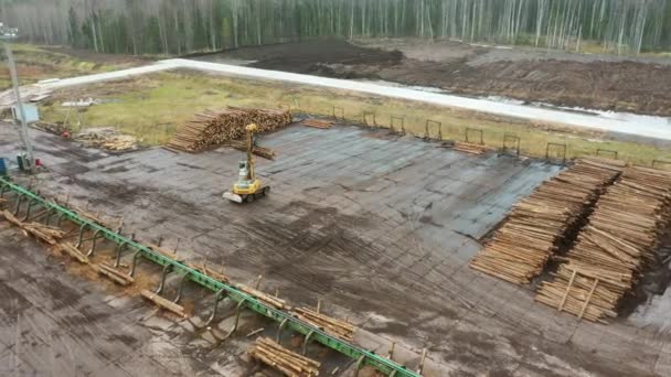 A logging machine transports logs to a stack. Loader of logs at the sawmill of coniferous trees. — Stockvideo