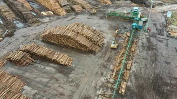 Freshly cut trees are stored outdoors in stacks. Wood warehouse . Forestry, woodworking, logging. — Stockvideo