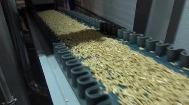 Pelet üretim tesisi. Isıtma evleri için çevresel kaynaklar.