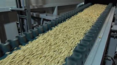 Pelet üretim tesisi. Isıtma evleri için çevresel kaynaklar.