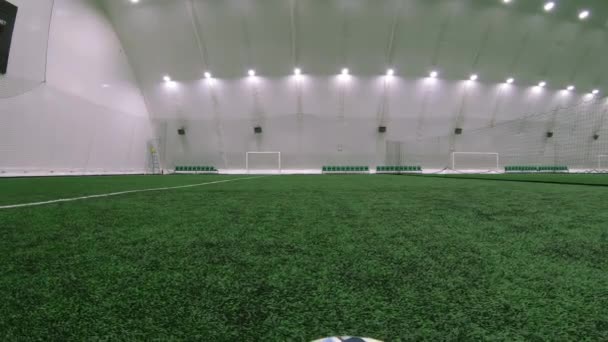 足球一种足球，放在绿草草坪上，有一个仿制空间. — 图库视频影像