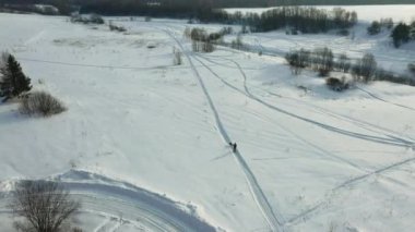 Karlı bir arazide bir köpek kızağı yarışının havadan vurulması. Huskiler ve hastalıklar .