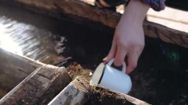 Ormandaki kız, bir bardak kaynak suyu alıp içiyor.