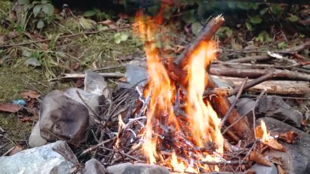 Une flamme de feu. Gros plan sur la flamme. Camping au printemps. Danger de feu. — Video