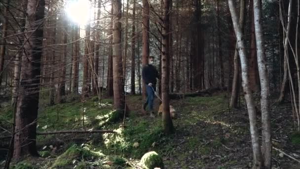 Jovem caminha com um cachorro Cocker Spaniel na floresta. — Vídeo de Stock