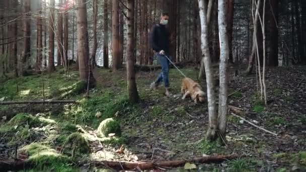 Giovane cammina con un cane Cocker Spaniel nel bosco. — Video Stock