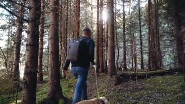 Jongeman loopt met een hond Cocker Spaniel in het bos. — Stockvideo