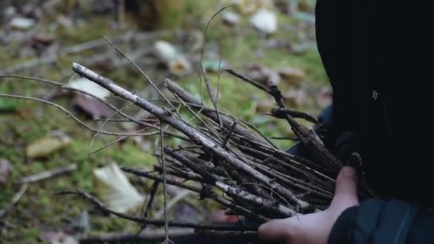 Mladý muž sbírá větve, aby zapálil oheň, v táboře v lese, táboří. — Stock video