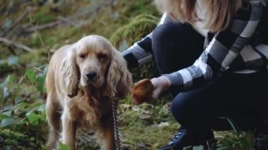 Ormanda maskeli bir kız ormanda köpeğini cocker spaniel ile okşuyor.