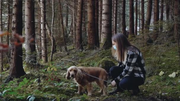 Chica en máscara médica en el bosque acariciando perro con cocker spaniel en el bosque — Vídeos de Stock