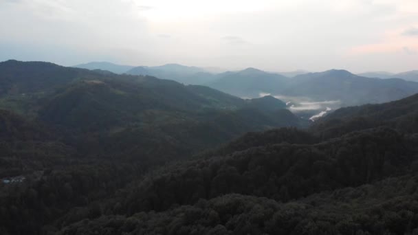 Vista Topo Voo Drone Sobre Montanhas Floresta Verde Selvagem Imagens — Vídeo de Stock