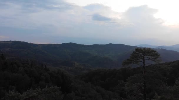 Vista Desde Cima Vuelo Del Dron Sobre Las Montañas Bosque — Vídeos de Stock