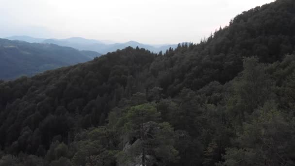 Vista Dall Alto Volo Dei Droni Sulle Montagne Foresta Verde — Video Stock