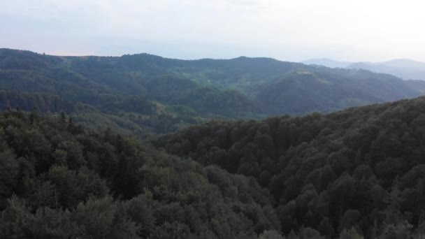 Vista Topo Voo Drone Sobre Montanhas Floresta Verde Selvagem Imagens — Vídeo de Stock