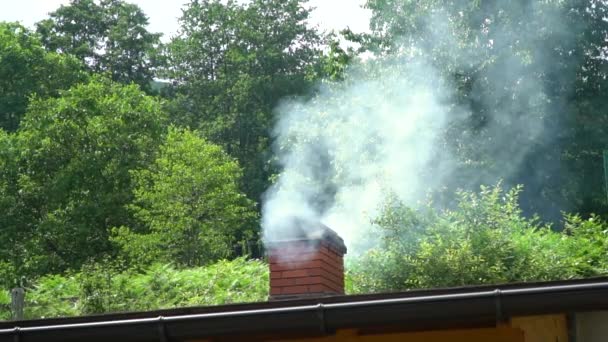 Biały Dym Kominka Wznosi Się Nad Ceglanym Kominem Domu Mieszkalnym — Wideo stockowe