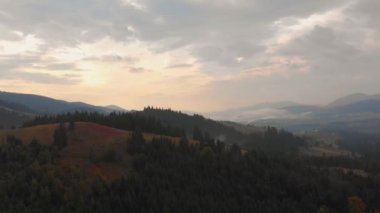 Bulutlar ağaçların üzerinde yuvarlanıyor. İlham verici seyahat şehveti konsepti. Karpatlar 'ın yüksek dağlarında, derin ve vahşi çam ormanlarının, yaz veya sonbahar ulusal parklarının destansı görüntüleri.. 