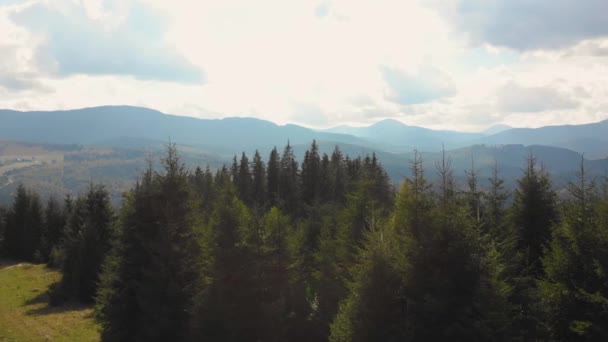 Hihetetlen Mozi Légi Felvétel Gyönyörű Fenséges Hegyek Nyári Zöld Erdő — Stock videók