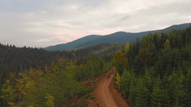 Nádherné Hory Aspen Colorada Podzim Letecké Záběry Vysoce Kvalitní Záběry — Stock video
