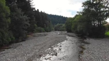 Mountain River 'ın Orman' daki havadan çekilmiş videosu. Dipte uzanan sakin bir yay ile kıyı gölgesinde ağaçların üzerinden uçan drone görüntüleri. Kuş bakışı manzara manzarası.