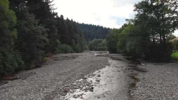 Nagranie Lotu Mountain River Przez Las Nagranie Dronów Przelatujących Przez — Wideo stockowe