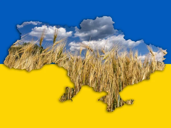 Political Map Ukraine Laid Out Grain Wheat Background Ukrainian Flag — Fotografia de Stock