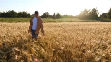 Günbatımında altın buğday tarlasında tarım yapan adam. Erkek, buğday ve dikiz aynasına bakar. Çiftçilerin eli gün batımında buğday kulağına dokunur. Tarım uzmanı olgunlaşmış buğday tarlasını inceliyor.. 