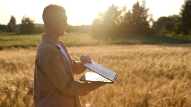 Senior Man Farmer Digital Tablet Working Field Smart Farm Field — 图库视频影像