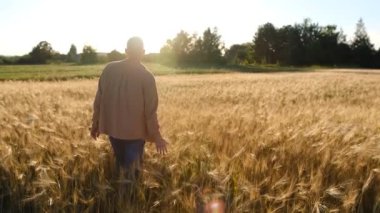 Günbatımında altın buğday tarlasında tarım yapan adam. Erkek, buğday ve dikiz aynasına bakar. Çiftçilerin eli gün batımında buğday kulağına dokunur. Tarım uzmanı olgunlaşmış buğday tarlasını inceliyor.. 