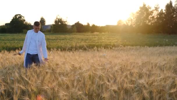 Young Agronomist Scientist White Coat Walks Wheat Field Sunset Touches — Stok video