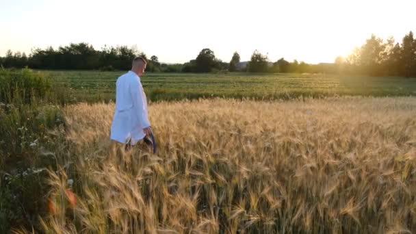 Young Agronomist Scientist White Coat Walks Wheat Field Sunset Touches — Stok video