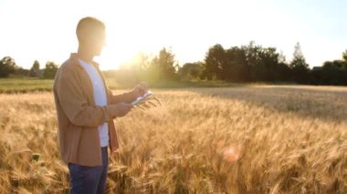 Gün batımında buğday tarlasında yaşayan genç bir biyolog buğday, arpa ve yulaf verilerini not defterine yazmış. Tarım ürünlerinin verimi kavramı. Yüksek kalite 4k görüntü
