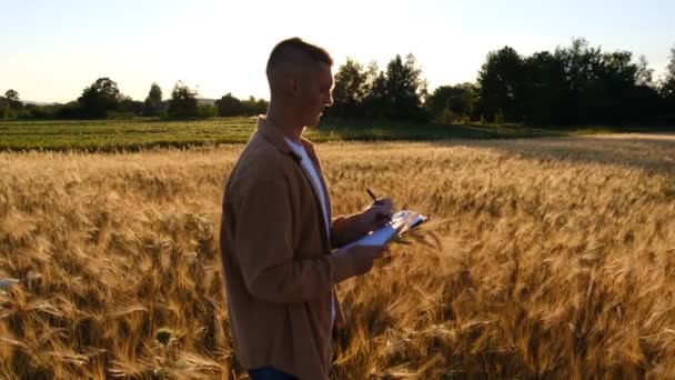 Young Biologist Agronomist Farmer Wheat Field Sunset Writes Yield Data — 图库视频影像