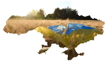 Ukrayna haritasının kavramsal görüntüsü, Rusya 'nın işgal konseptinin neden olduğu küresel gıda krizi. Buğday tarlasında Ukrayna bayrağı Yüksek kaliteli fotoğraf