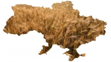 Beyaz arka planda Ukrayna haritası, içinde buğday, barış kavramı, savaş, açlık, Rusya 'nın sebep olduğu küresel gıda krizi.