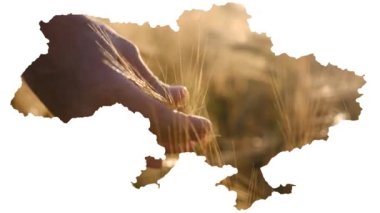 Ukrayna 'nın Contour haritası, çiftçilerin elinde buğday kulakları var. Barış, yiyecek ve iyi hasat kavramı. Yiyecek krizine Rusya 'nın saldırganlığı neden oluyor. Yüksek kalite 4k görüntü