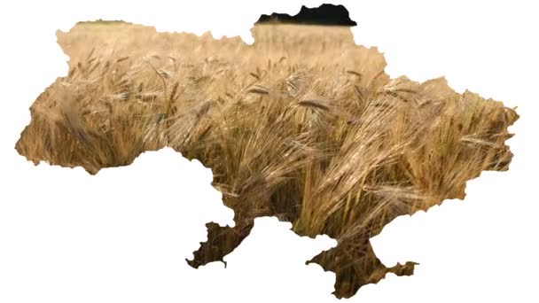 Konzeptionelles Bild Der Landkarte Der Ukraine Globale Nahrungsmittelkrise Die Durch — Stockvideo