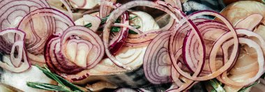 Dilimlenmiş uskumru ya da soğan ve baharatlı ringa balığı. Sağlıklı yemek, diyet ya da yemek konsepti. en üstteki görünüm.